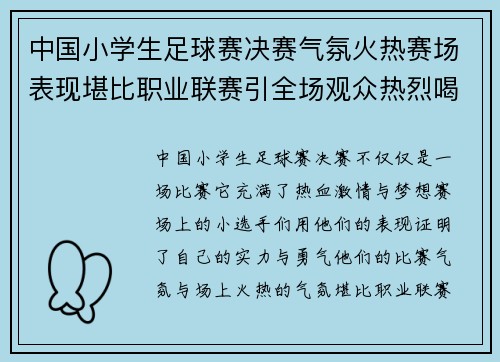 中国小学生足球赛决赛气氛火热赛场表现堪比职业联赛引全场观众热烈喝彩